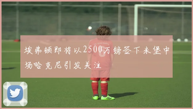 埃弗顿即将以2500万镑签下米堡中场哈克尼引发关注