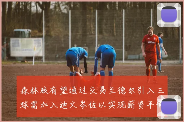 森林狼有望通过交易兰德尔引入三球需加入迪文岑佐以实现薪资平衡